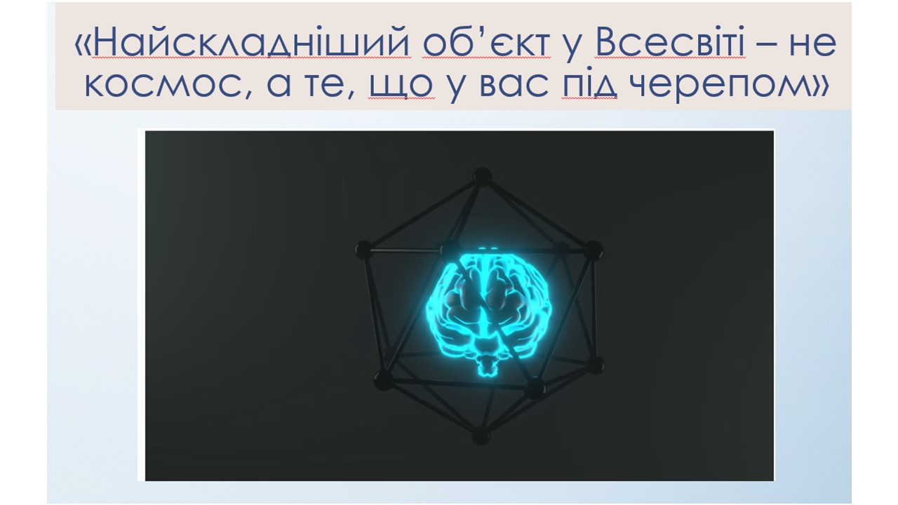 мозок